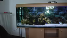 Aquarium Becken 1172