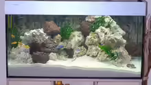 Aquarium Becken 11994