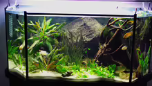 Aquarium Becken 12076