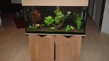 Aquarium Becken 12221