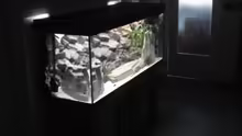 Aquarium Becken 12231