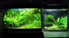 Aquarium Becken 12359