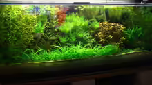 Aquarium Becken 12691