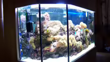 Aquarium Becken 13240