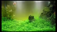 Aquarium Becken 13292