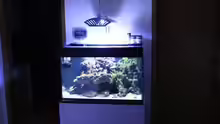 Aquarium Becken 13350