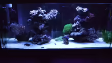 Aquarium Becken 14005