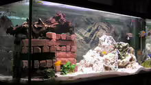 Aquarium Becken 1409