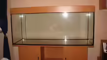 Aquarium Becken 15293