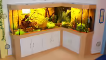Aquarium Becken 16618