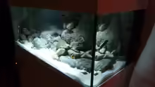 Aquarium Becken 16993