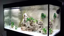 Aquarium Becken 1748