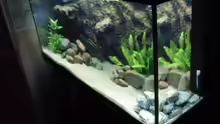 Aquarium Becken 17837
