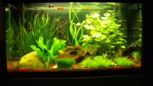 Aquarium Becken 18228