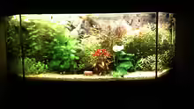 Aquarium Becken 19299