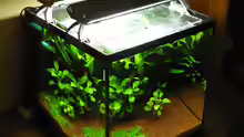 Aquarium Becken 20499