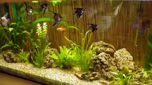 Aquarium Becken 22559