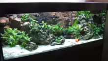 Aquarium Becken 226