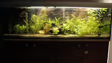 Aquarium Becken 22655