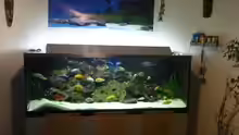 Aquarium Becken 22860 (nur noch als Beispiel)