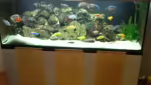 Aquarium Becken 22860 (nur noch als Beispiel)
