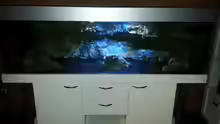 Aquarium Becken 22990 STEHT ZUM VERKAUF !!!