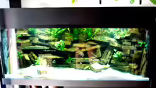 Aquarium Becken 23529