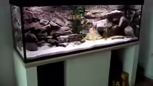 Aquarium Becken 2429