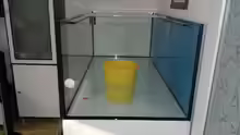Aquarium Becken 24363