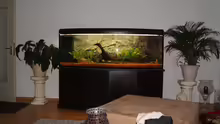 Aquarium Becken 24844