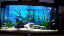 Aquarium Becken 25125