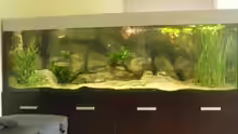 Aquarium Becken 2548
