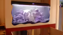 Aquarium Becken 2636