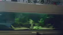 Aquarium Becken 2699