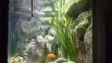 Aquarium Becken 285