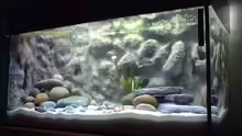 Aquarium Becken 286