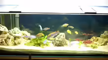 Aquarium Becken 310
