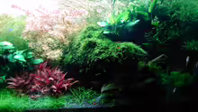 Aquarium Becken 31104
