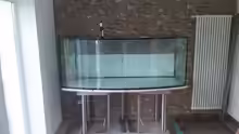 Aquarium Becken 31764