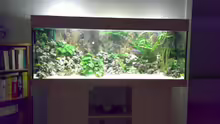 Aquarium Becken 3276
