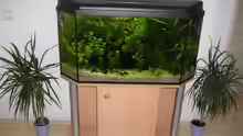 Aquarium Becken 3468