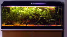Aquarium Becken 3502