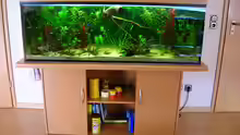 Aquarium Becken 3526
