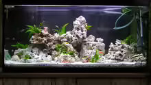 Aquarium Becken 359