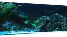 Aquarium Becken 3607