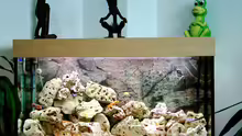 Aquarium Becken 415