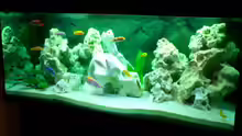 Aquarium Becken 446