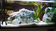 Aquarium Becken 460