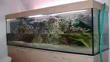 Aquarium Becken 4916