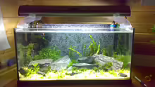 Aquarium Becken 5103